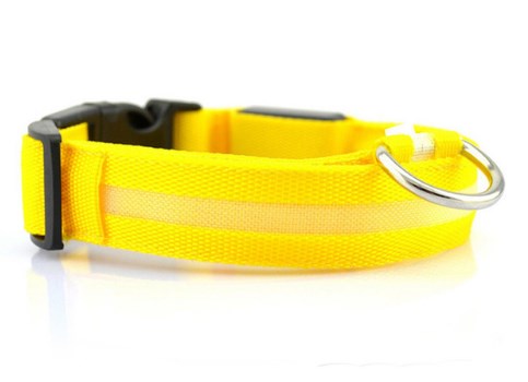 led lighting collar for dogs Liratech Europe